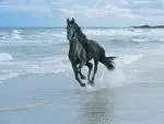 ATQJRELCAGE4FH5CA036J4DCA80856BCAJKUL6DCAMFJPL2CA05GB0WCASMK0TVCAFDFV7RCAGWXSH7CAFO6CAQCAQXO8...webp