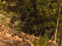 cave on cliff face.webp