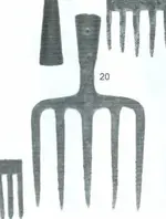 type20.webp