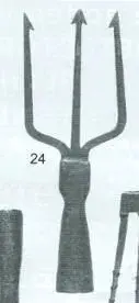 type24.webp