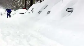 snow.webp