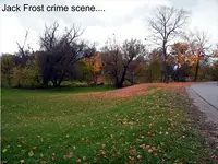 Crime Scene.webp