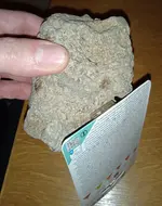 IMG_20260112_223711_1.webp