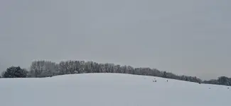 20260118_140559.webp
