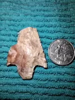newnan chiefland.webp