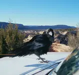 utah 95 7.webp