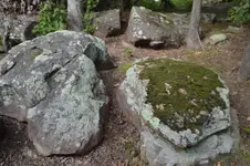 1769672410745.webp
