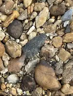 IMG_7074.webp