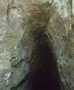 1769821477212.webp
