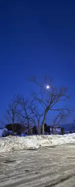 20260131_172535.webp