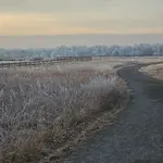 20260131_072533.webp