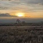 20260131_072753.webp