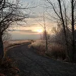 20260131_072934.webp