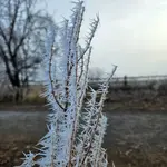 20260131_075030.webp