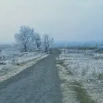 20260131_075241.webp