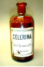 celerina copy.webp celerina copy.webp