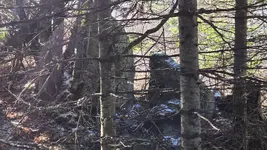 20260125_110932.webp