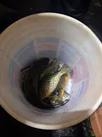 20260130_180858.webp
