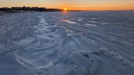 4894292377522642326.webp