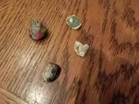 IMG_20260212_064539917.webp