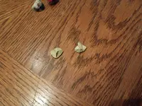 IMG_20260212_064638967.webp