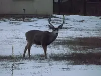 DSCF5571.webp