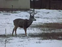 DSCF5572.webp