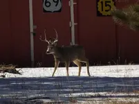 DSCF5575.webp