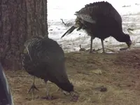 DSCF5564.webp