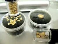 gold 012.webp