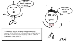 1 (3).webp