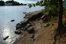 1772292226974.webp
