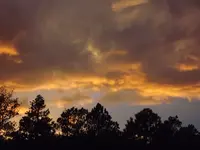 DSCF5582.webp