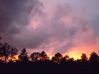 DSCF5584.webp