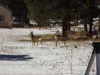 DSCF5589.webp