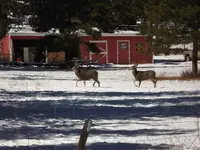 DSCF5591.webp