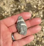 IMG_7297.webp