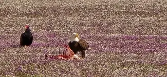 20260305_105730.webp