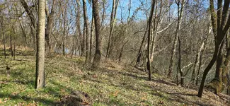 20260306_130401.webp