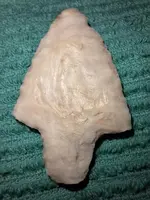 coral marion-1.webp