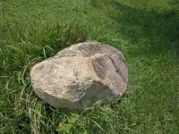 IMG_20250813_130010.webp