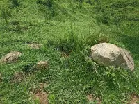 IMG_20250813_130018.webp