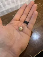 IMG_0680.webp