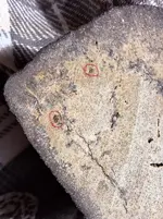 1000011327.webp