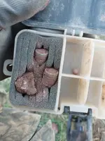 20260329_183749.webp