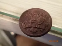 Military button in Birch Ck 1.webp