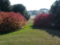 Fall Red.webp