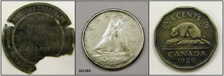 coins (2).webp