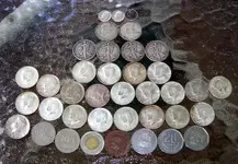 DSCN2883.webp
