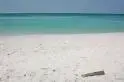 beach.webp